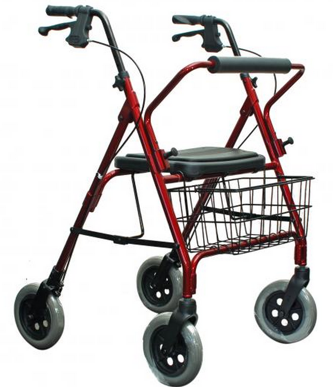 Mobility Walker.PNG