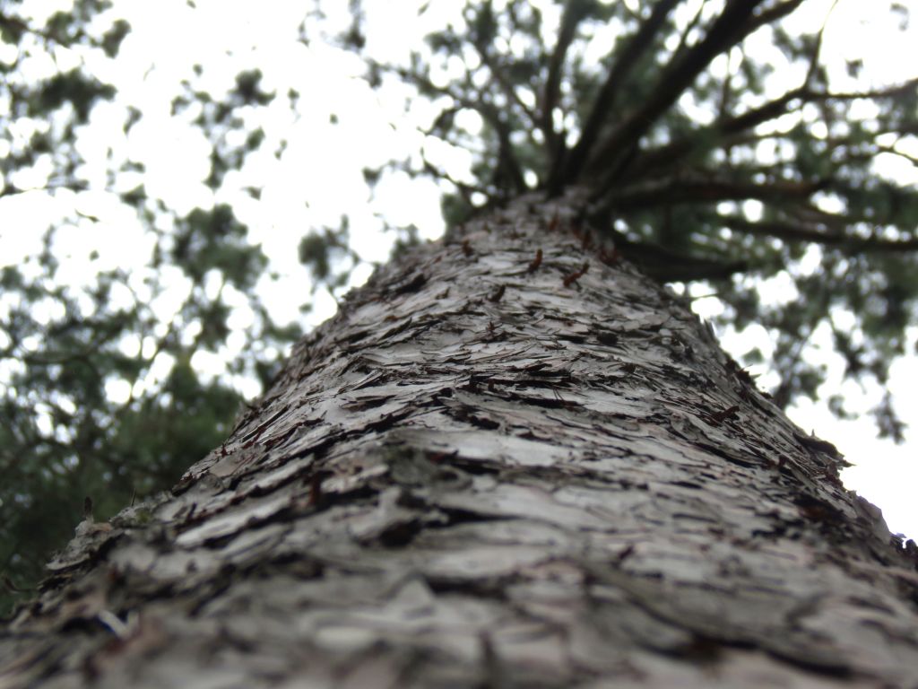 IMG_8622sc.jpg