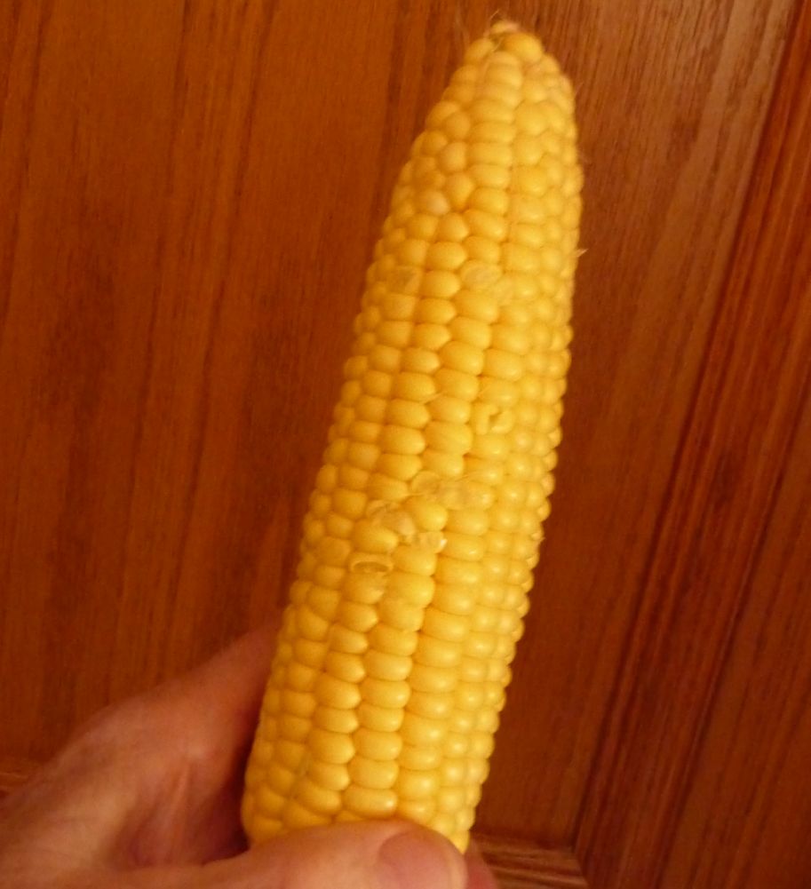 4 - There it is with almost no cornsilk.