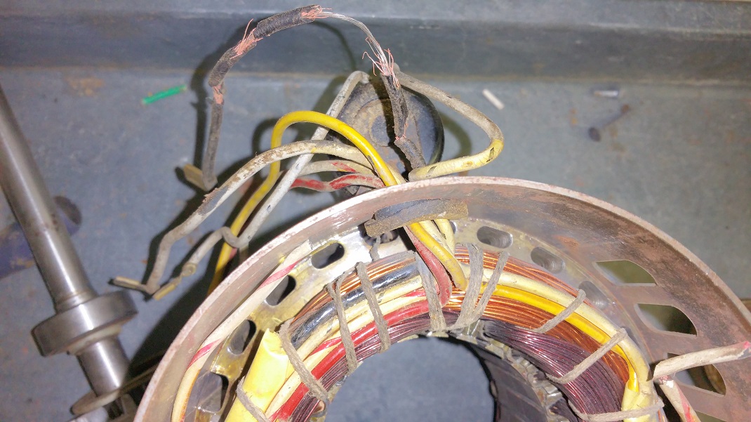 AO Smith stator / frame with bad black lead