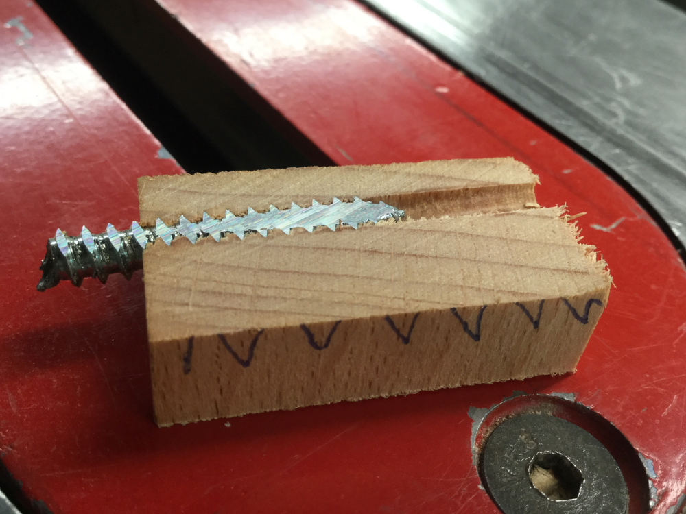 Screw slice.JPG