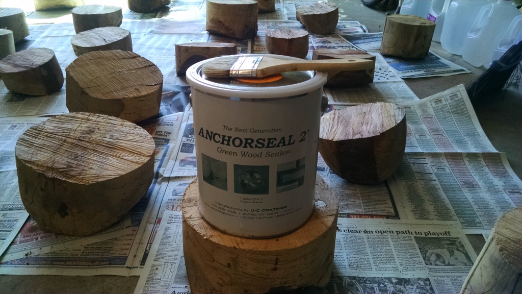 Sealer from Woodcraft store