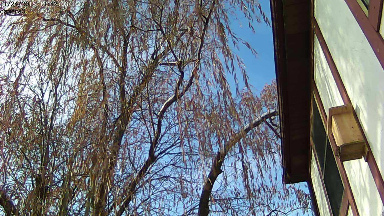 20151124094207c.jpg