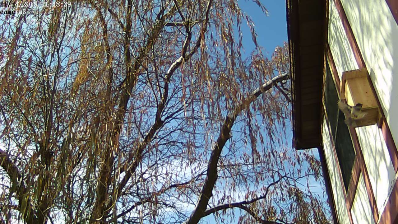 20151124094842c.jpg
