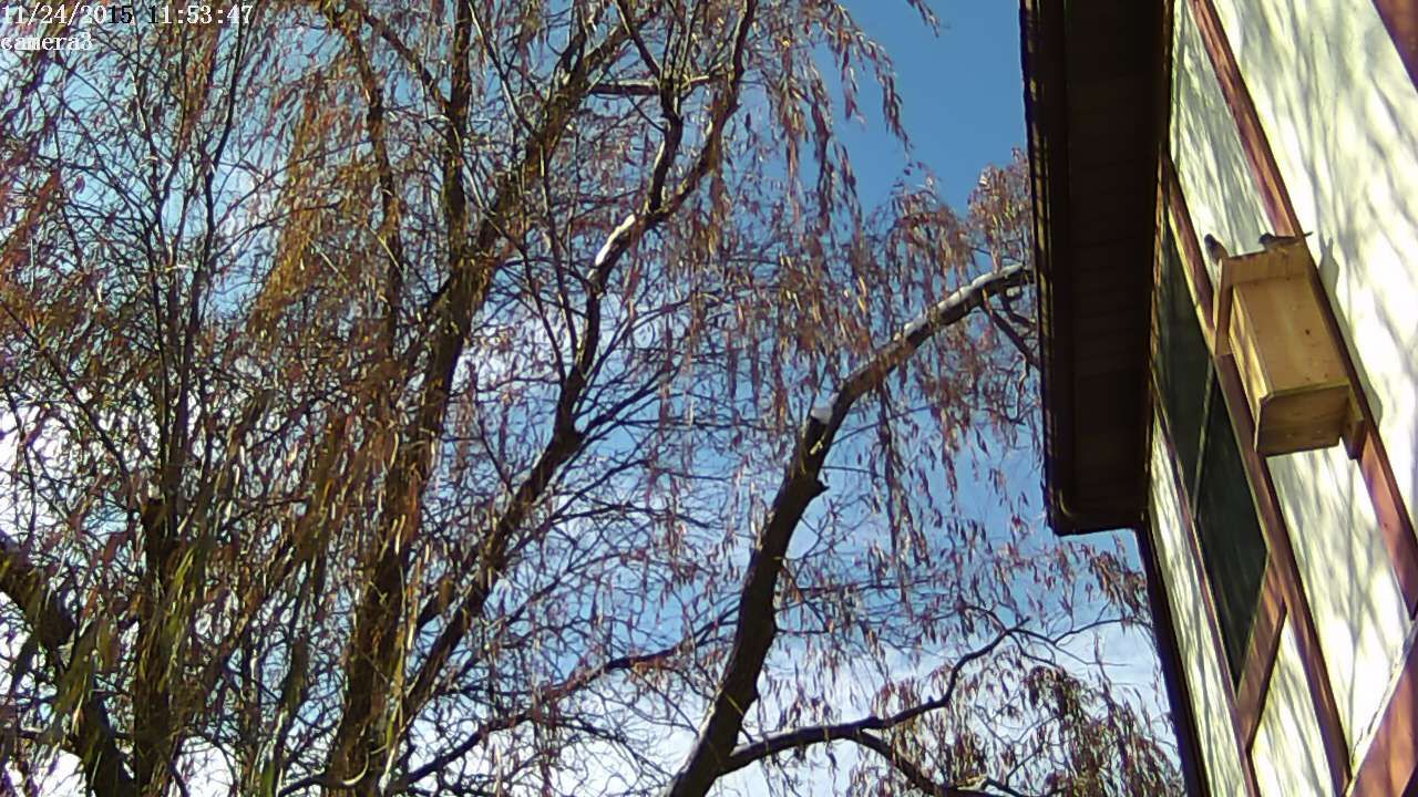 20151124095349c.jpg