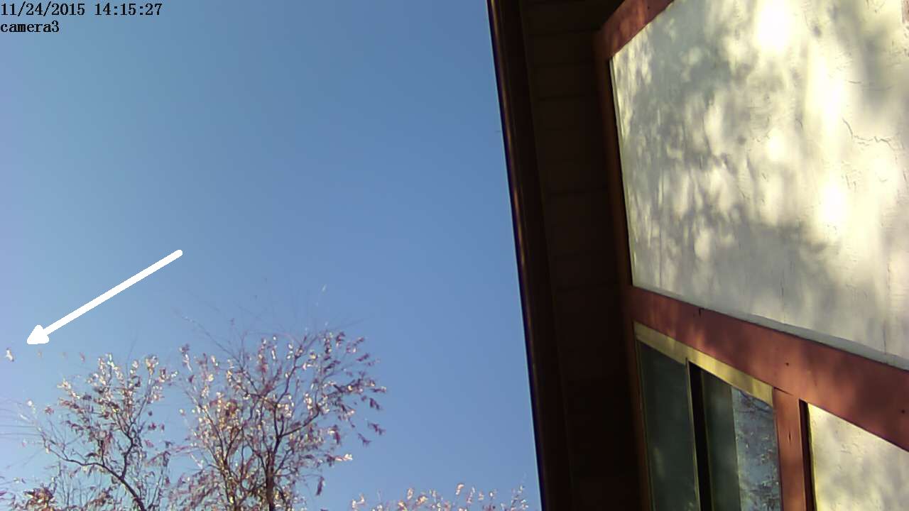 20151124121529c.jpg