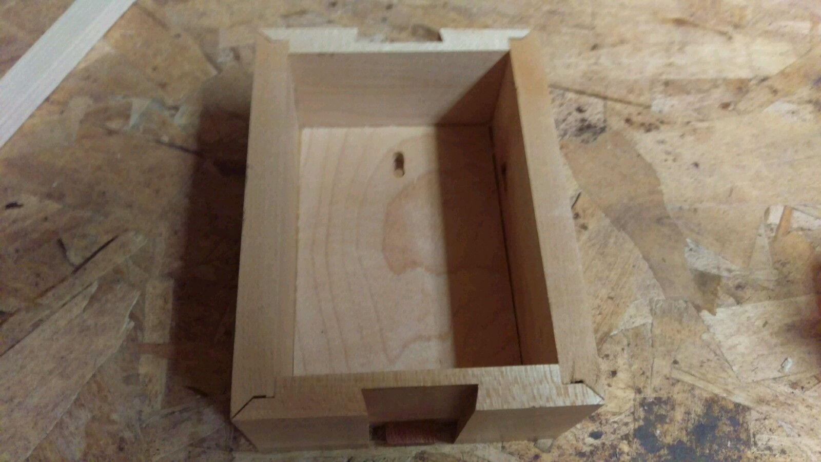 IMAG0353-1600x900.jpg