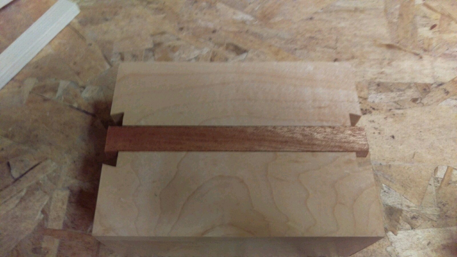 IMAG0356-1600x900.jpg