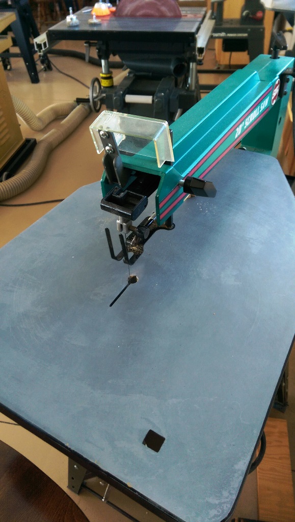 IMAG0313.jpg