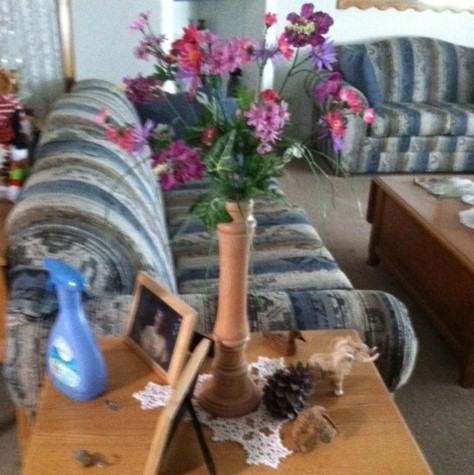 Dry Flower Vase.JPG