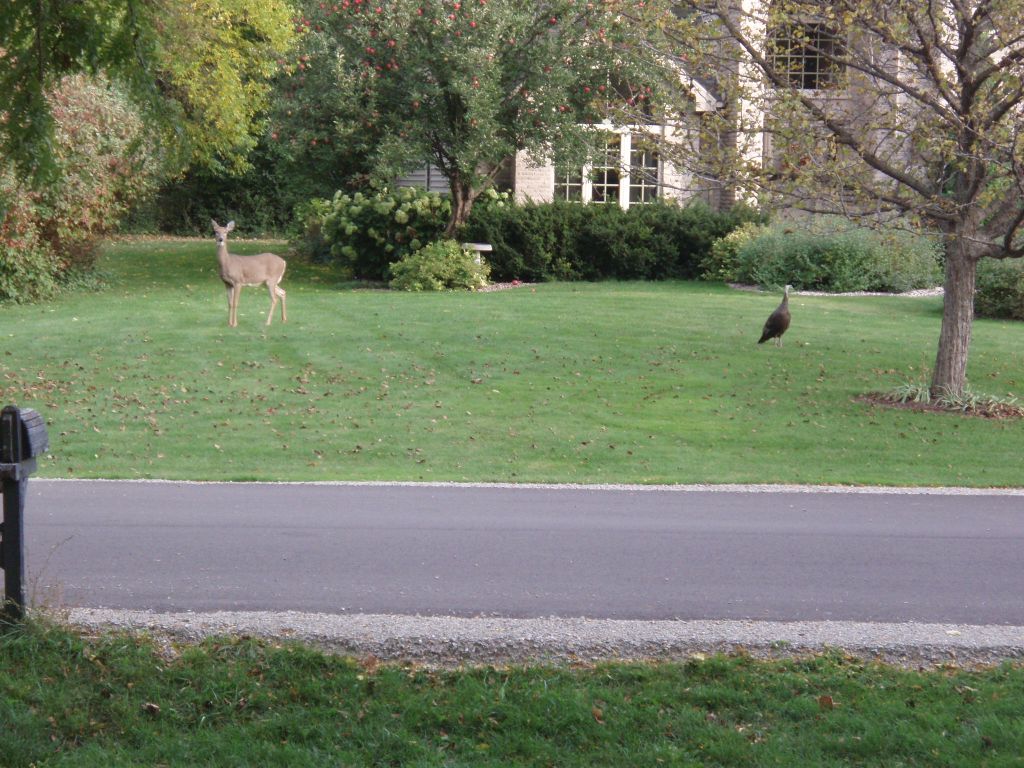 PA100205.jpg