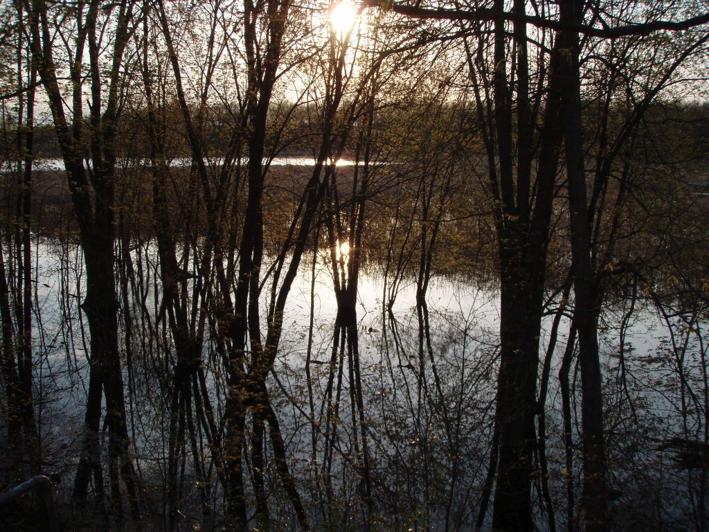 sunset over the water