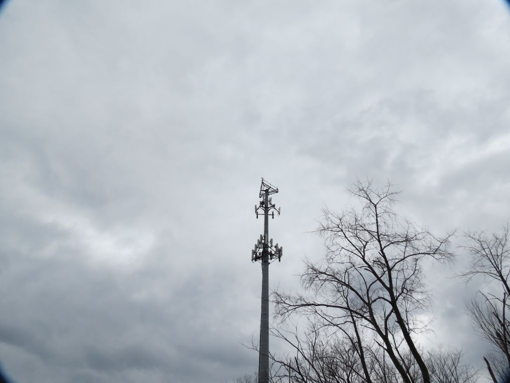 IMG_0925sc.jpg