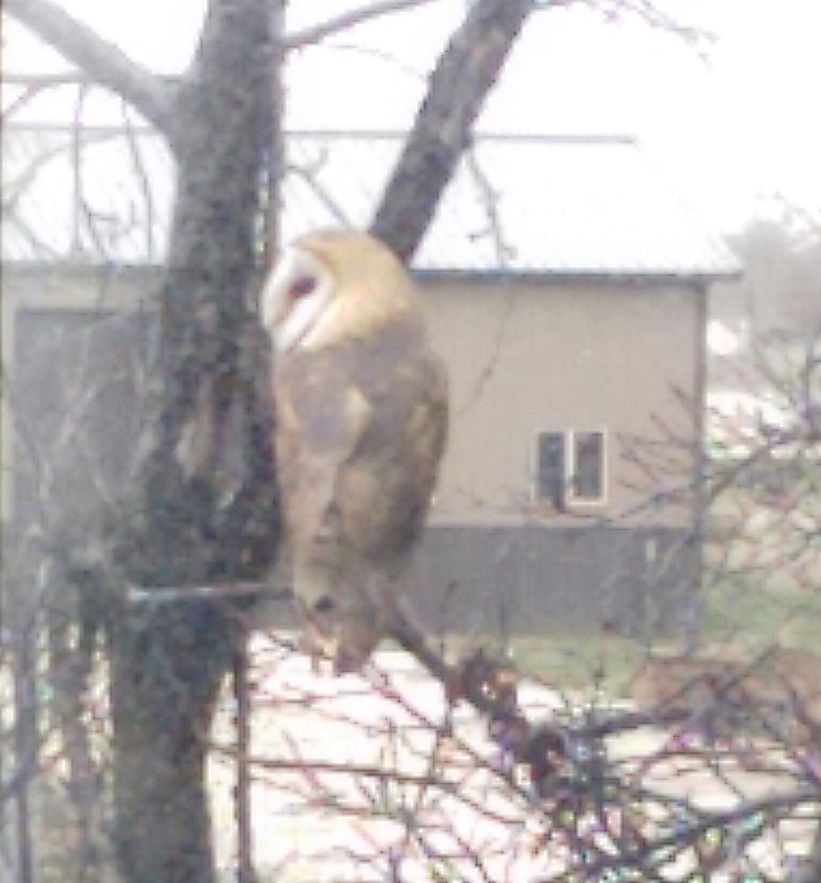IMAG0364-1.jpg