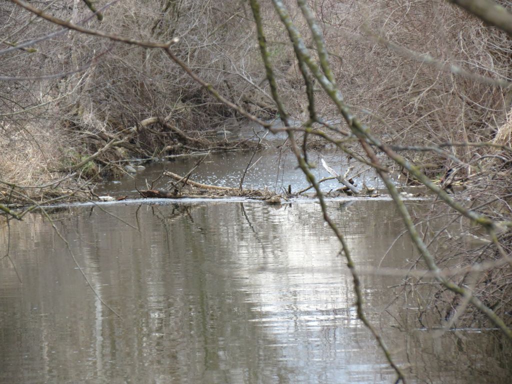 IMG_1206sc.jpg