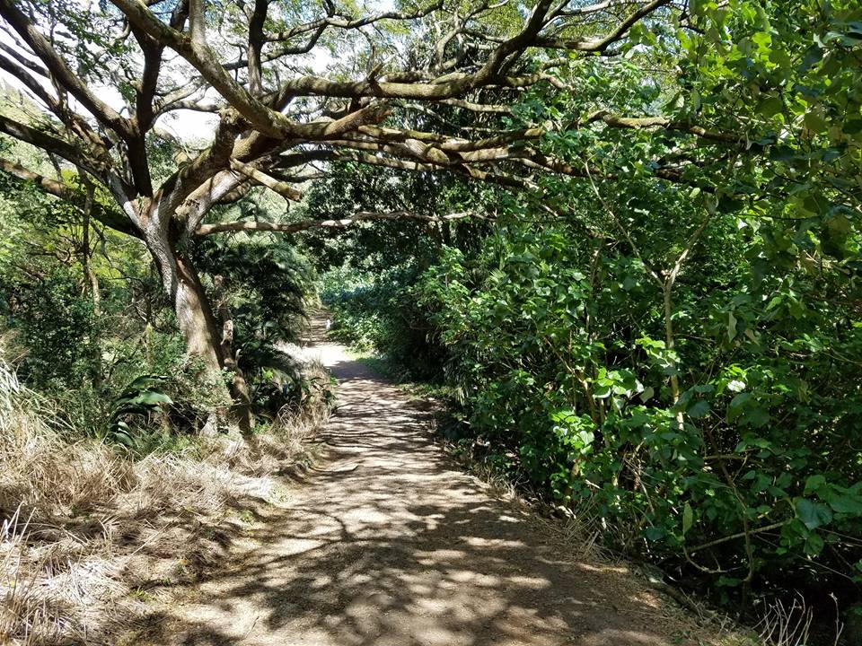 walk pathway.jpg