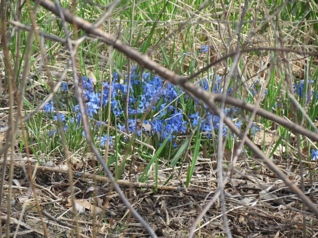 IMG_1435sc.jpg