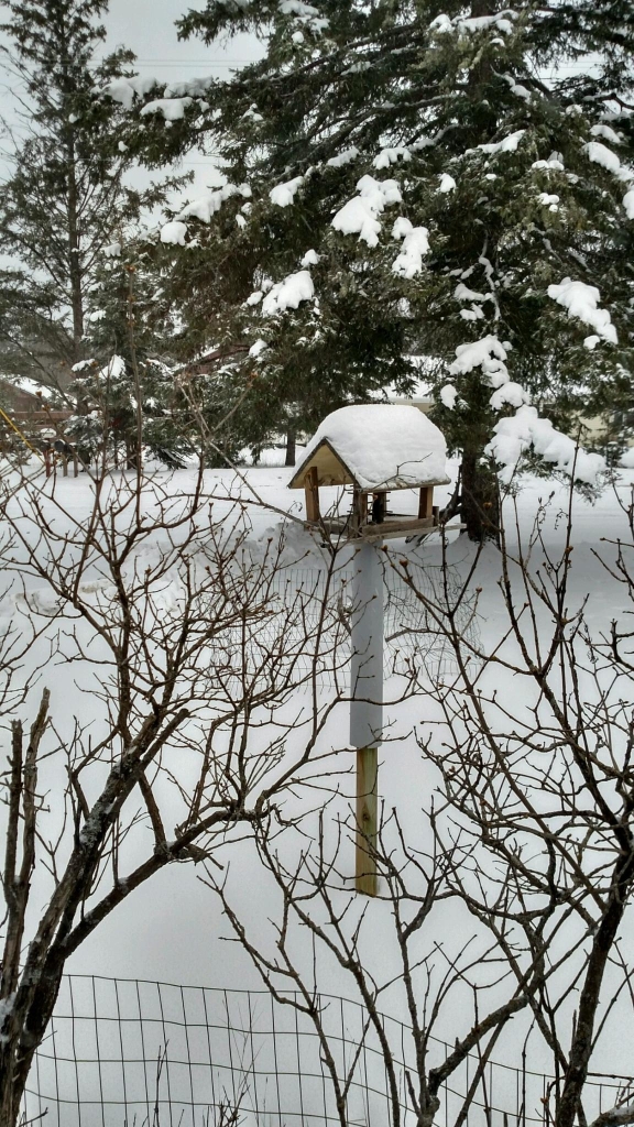 snow in BJ4_16.jpg