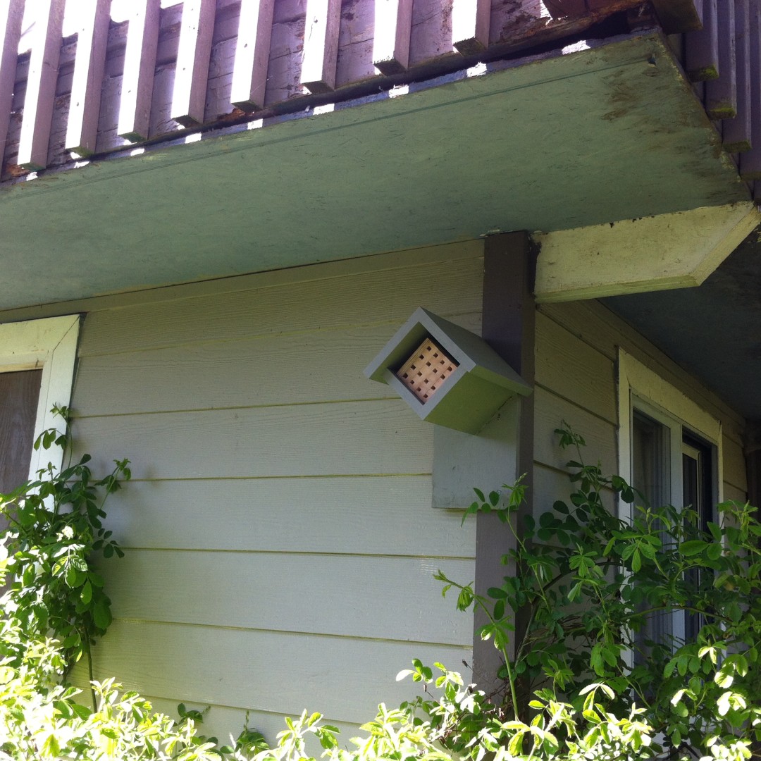 bee house installed.JPG