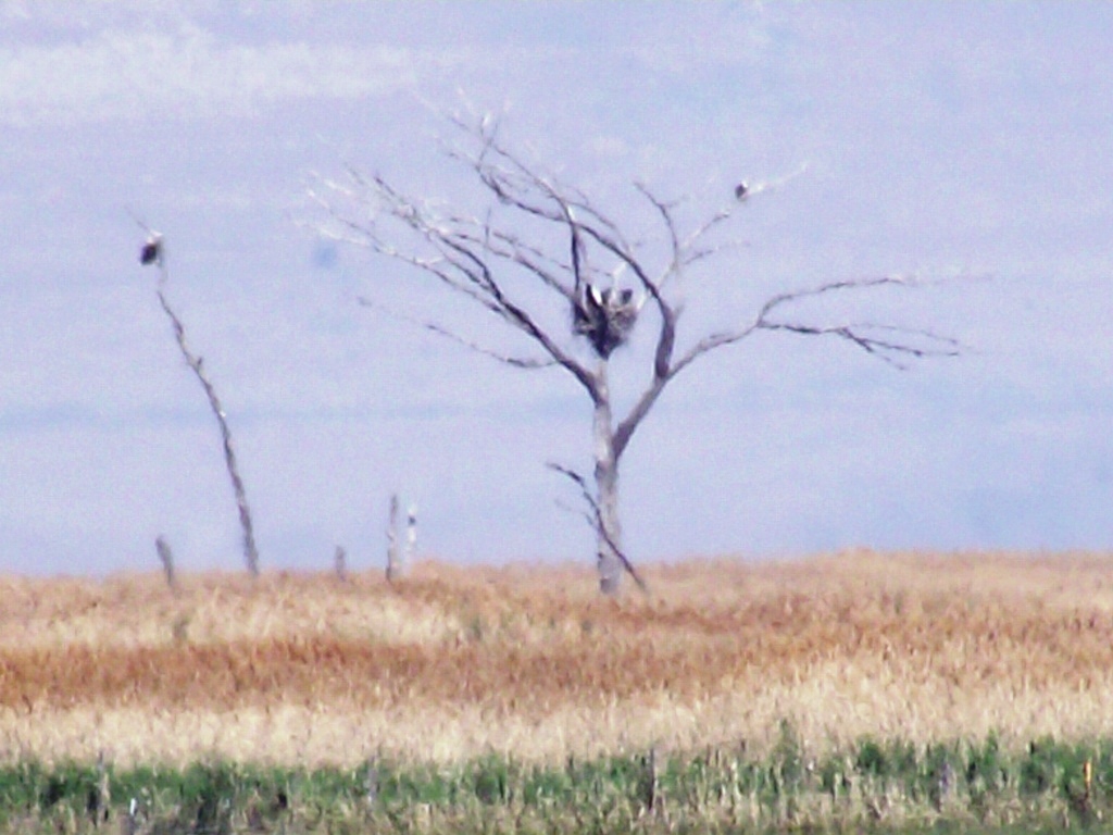 DSCF0705.jpg