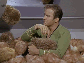 image.gif
