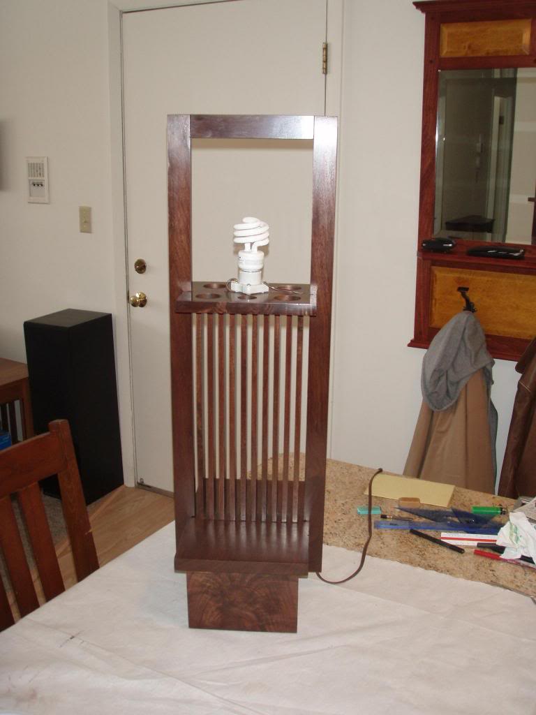 P3170007_zps874ef4bb.jpg