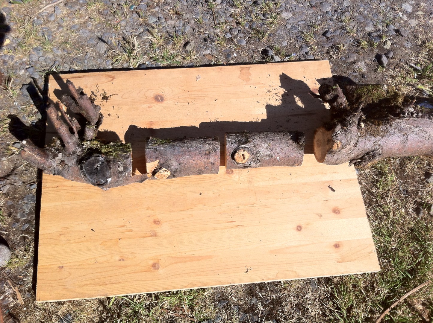 twig pots blanks.JPG