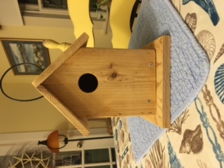 Birdhouse 1.JPG