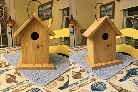 tweet tweet.jpg
