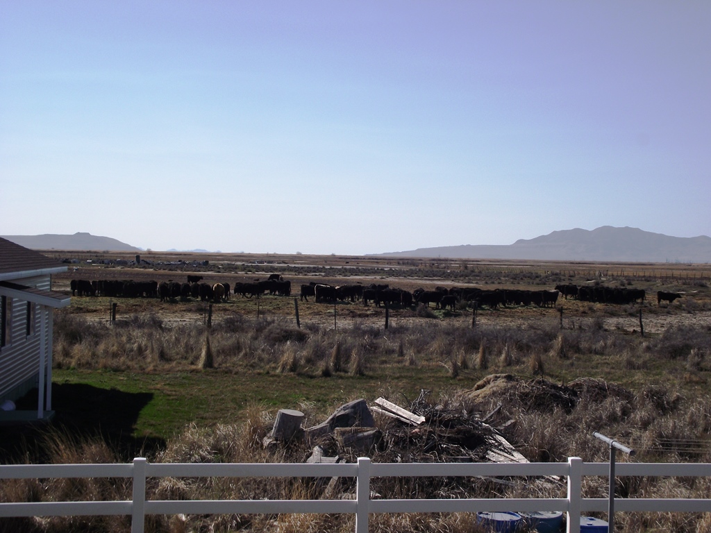 DSCF1297.jpg
