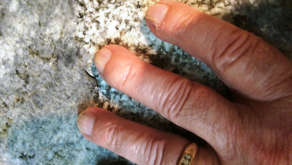 IMAG0578.jpg