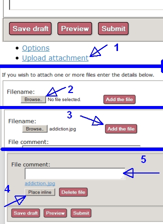 How To Post a Pix.jpg