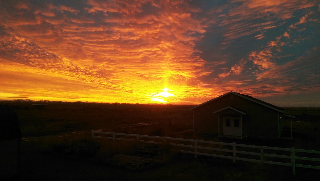 IMAG0596.jpg