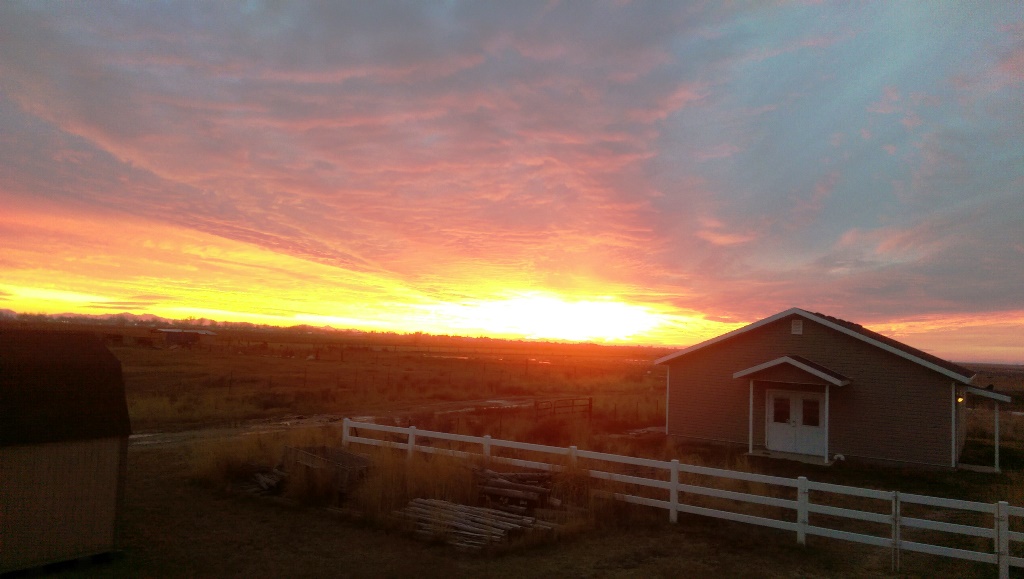 IMAG0598.jpg