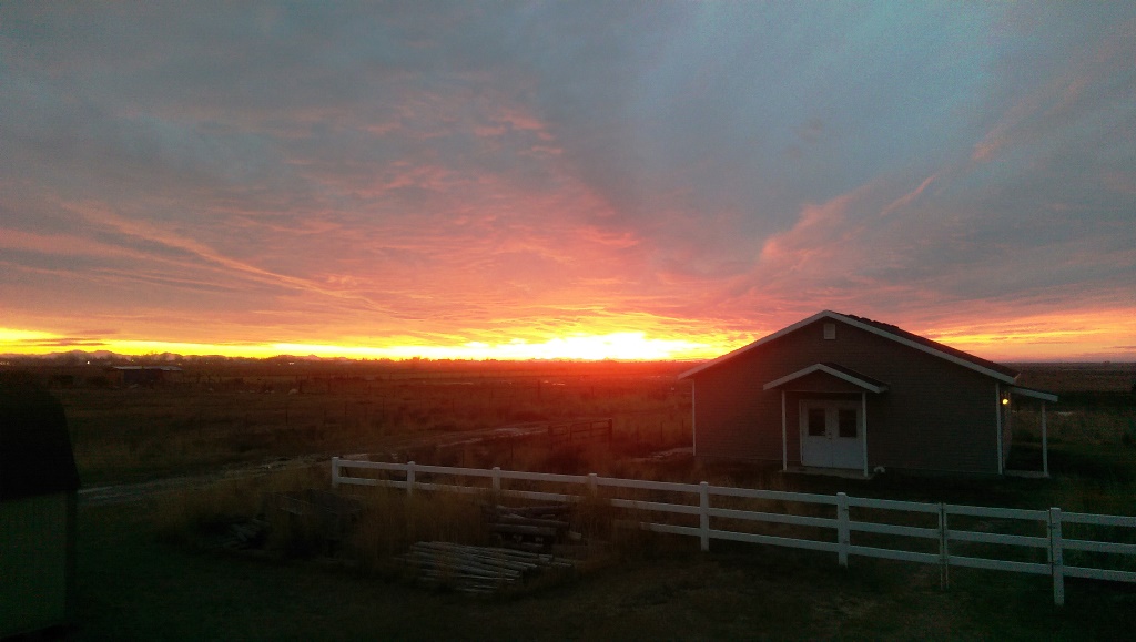 IMAG0599.jpg