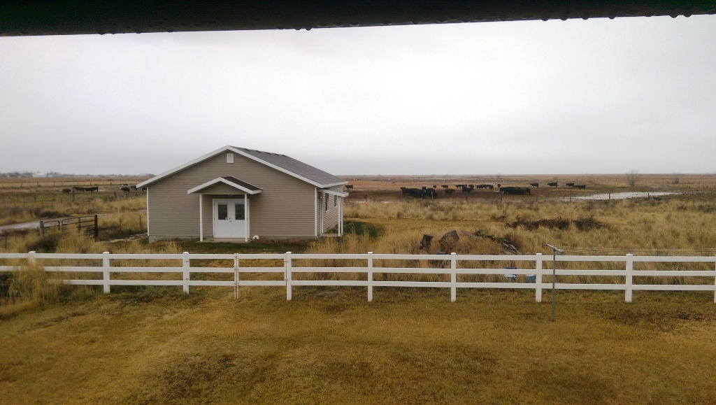 IMAG0600.jpg
