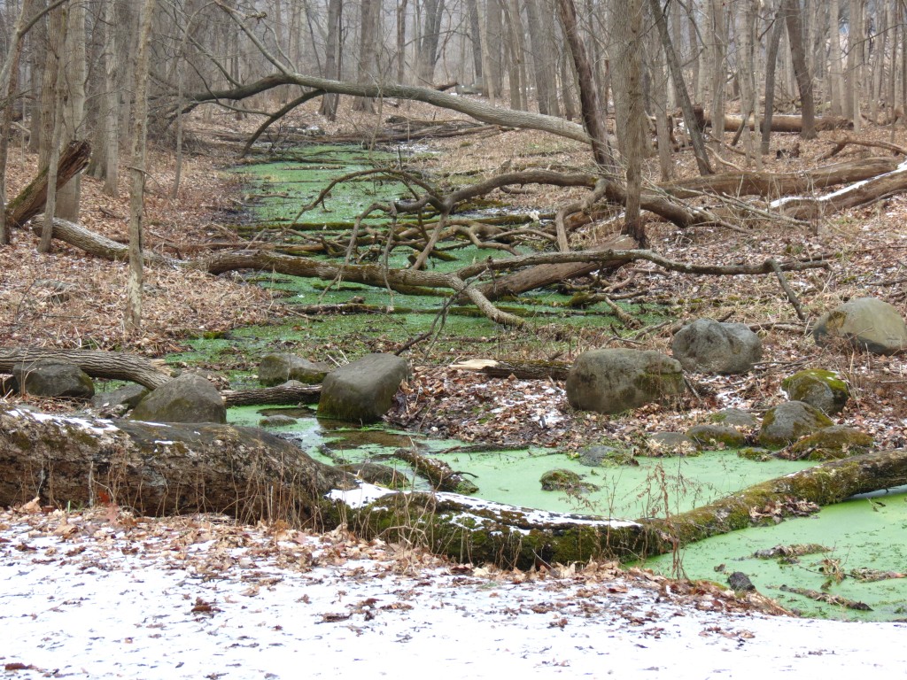 the green stream runs through it