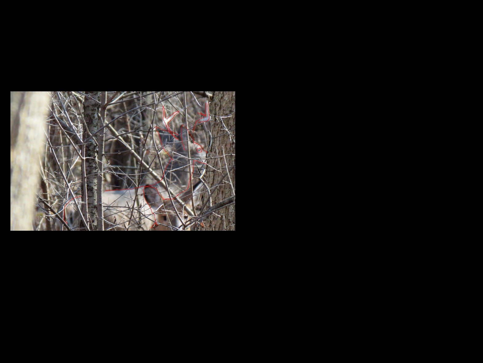 two crude outline.jpg