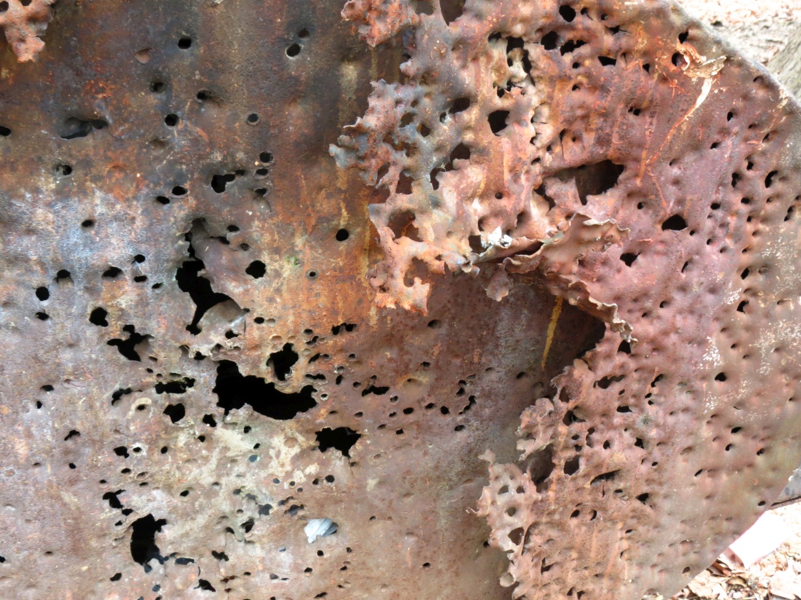 background1.jpg