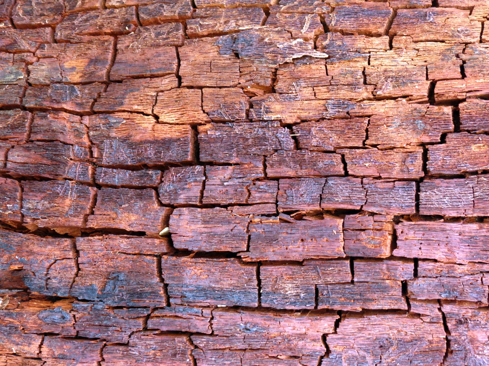 background4.jpg