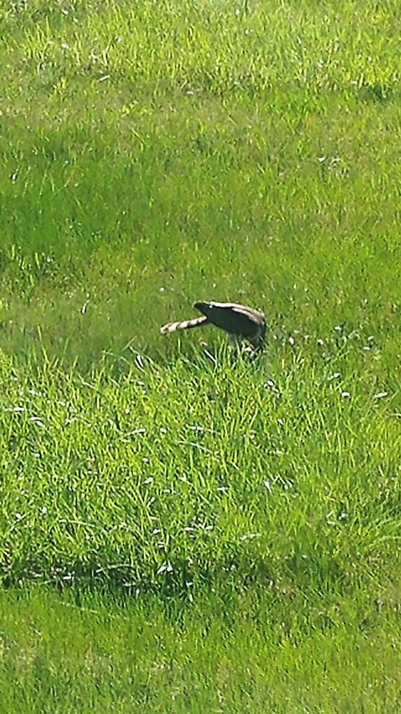 20170402_173032.jpg