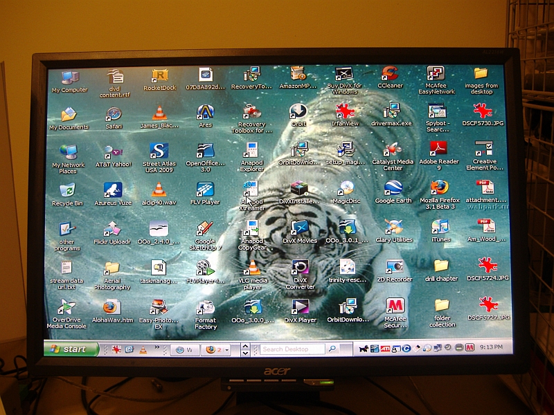 600x800 screen 500x375 tiger.jpg