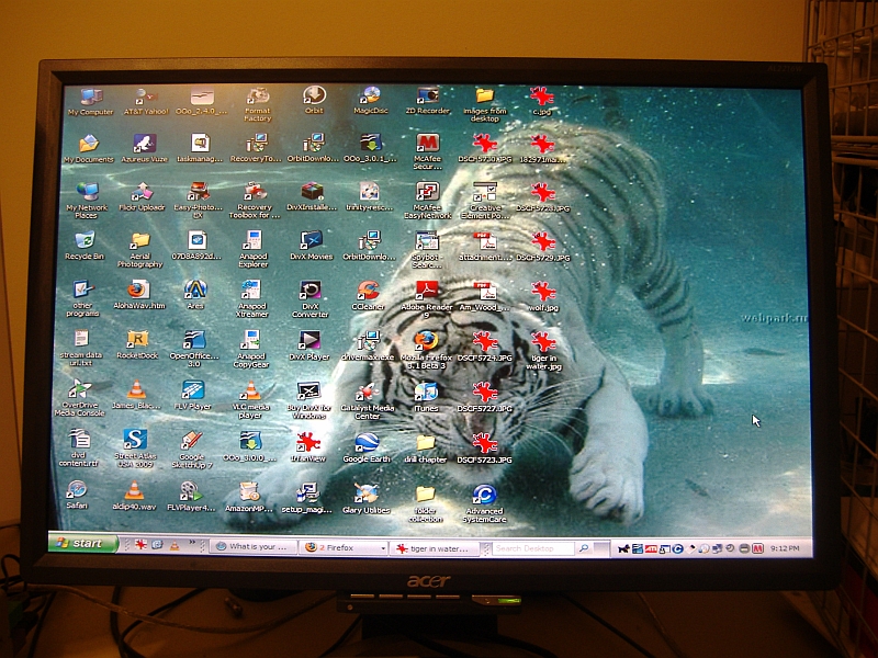 1024x768 screen 500x375 tiger.jpg