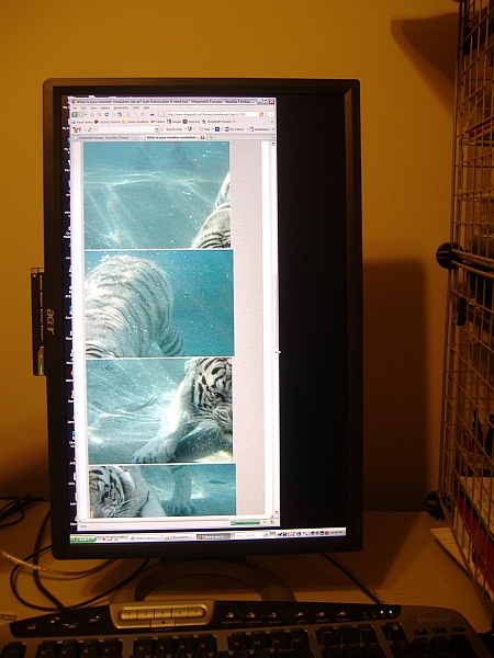 monitor rotated max width 1050 images apear in vertical line.jpg