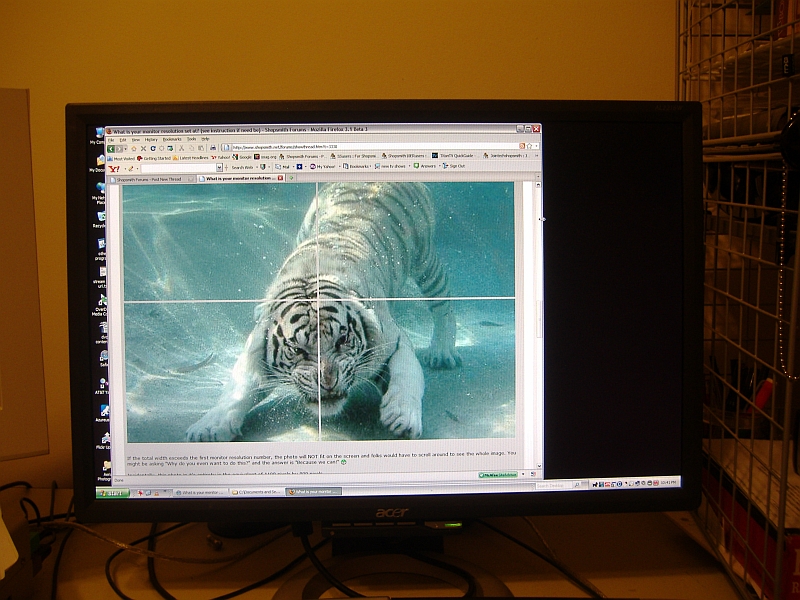 firefox 3.1 beta 3 with window width set so images display as seen.jpg