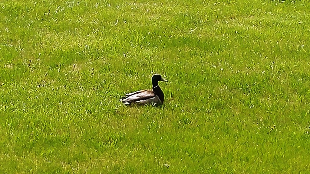 20170420_150009.jpg