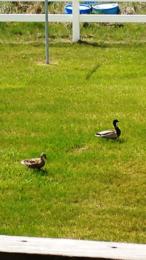 20170420_150129.jpg