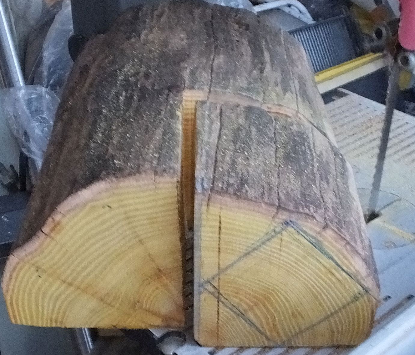 third cut.jpg