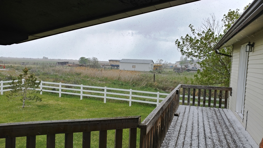 20170517_143247_HDR.jpg