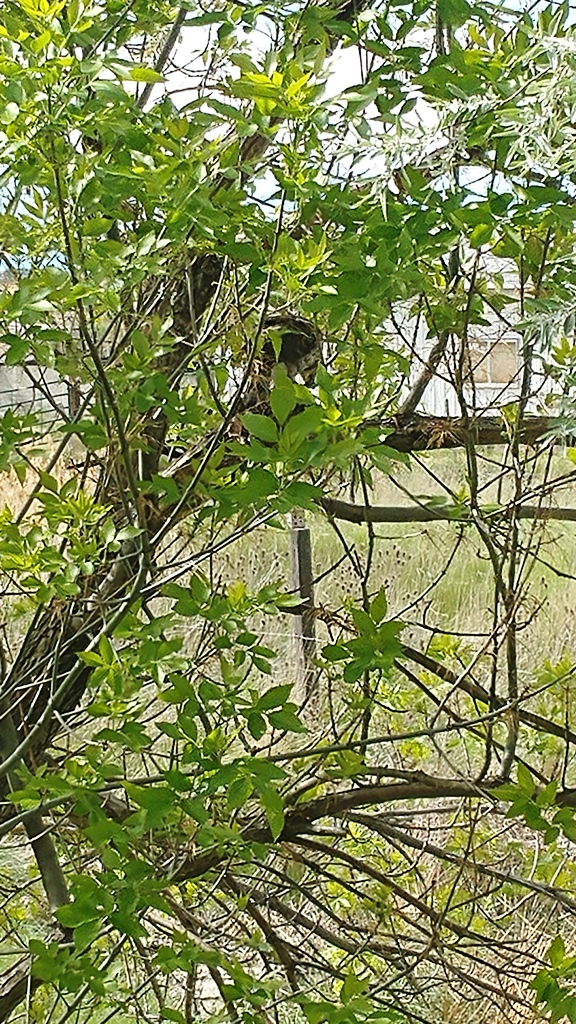 20170518_164041.jpg